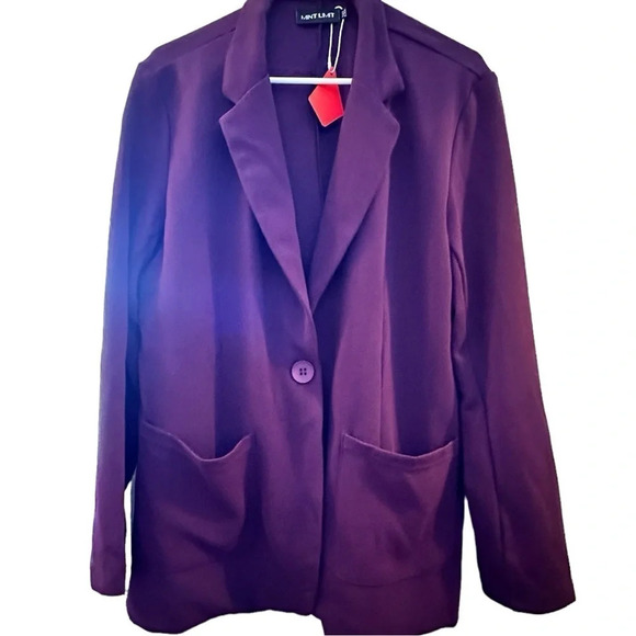 NWT MINTLIMIT Casual Long Sleeve Button Front Stretchy Cardigan Blazer - Picture 1 of 3